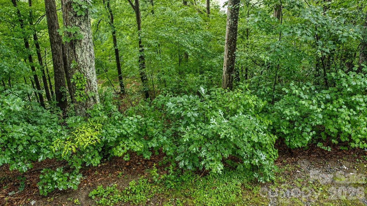 https://bt-photos.global.ssl.fastly.net/cmls/1280_boomver_1_4412679-1.jpg