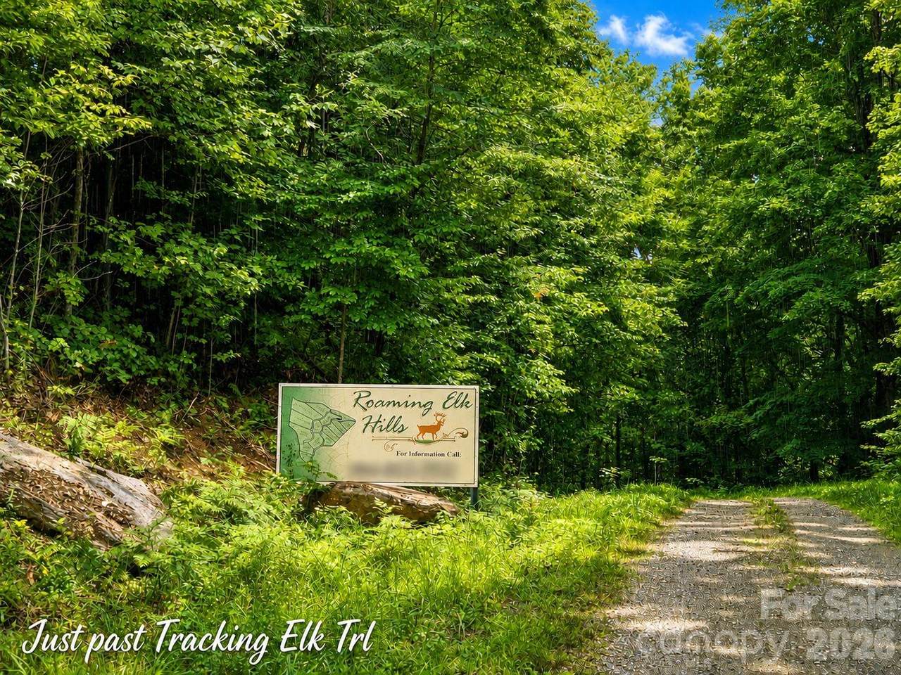 1000 Yonah Trail - Photo 1