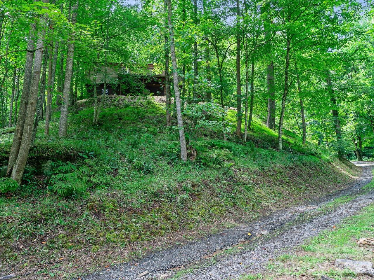 9851 Double Island Road - Photo 1