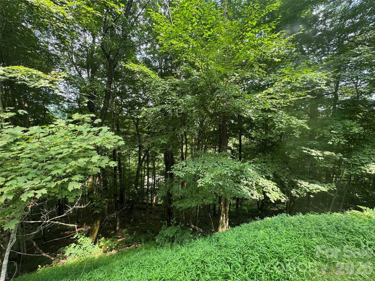 https://bt-photos.global.ssl.fastly.net/cmls/1280_boomver_1_4413328-1.jpg