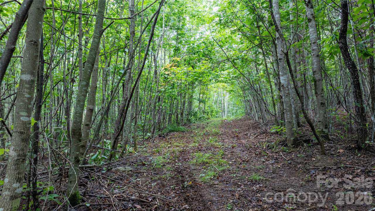 https://bt-photos.global.ssl.fastly.net/cmls/1280_boomver_1_4413412-1.jpg