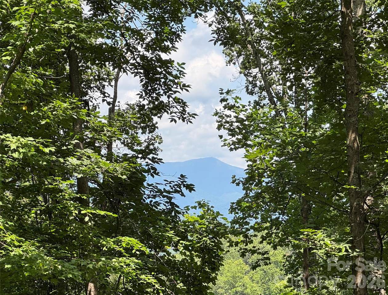 https://bt-photos.global.ssl.fastly.net/cmls/1280_boomver_1_4413464-1.jpg