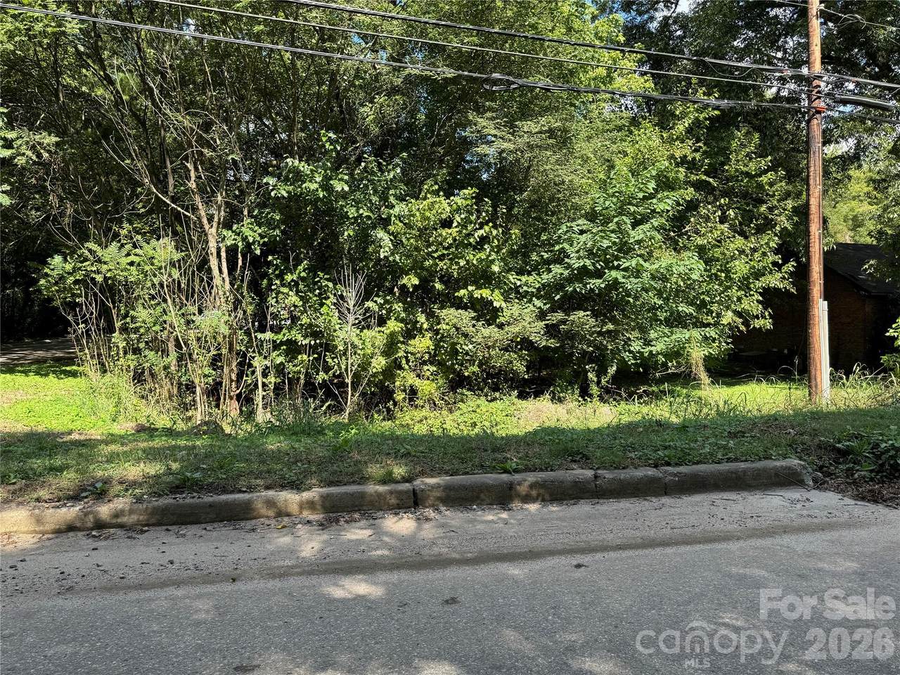 .99 acres Hwy 321 Bypass - Photo 1