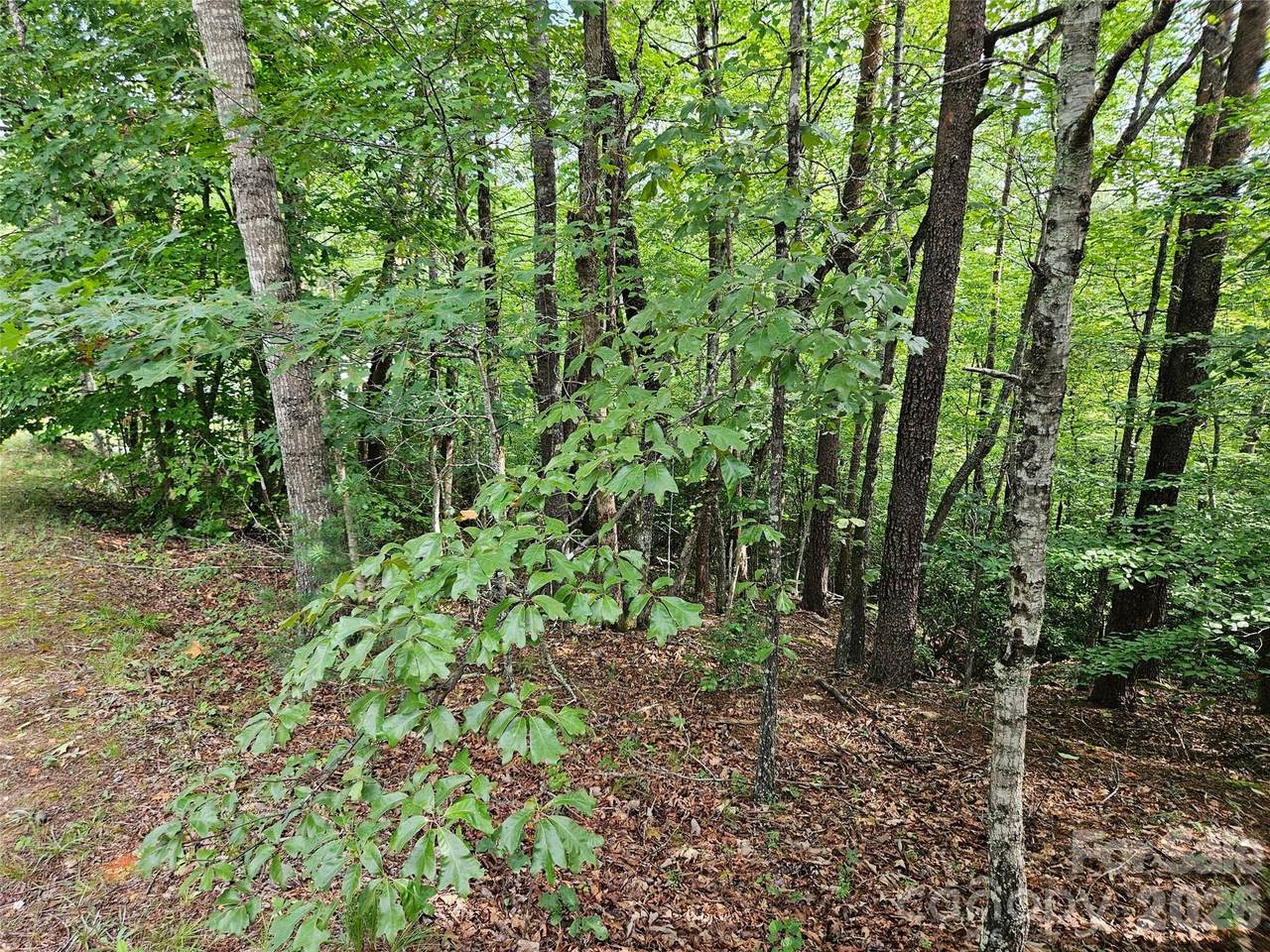 https://bt-photos.global.ssl.fastly.net/cmls/1280_boomver_1_4414488-1.jpg
