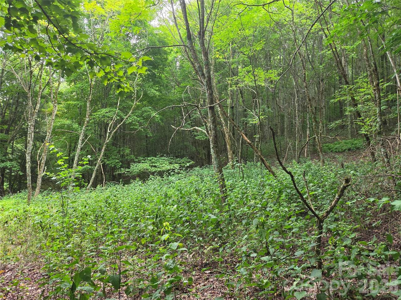 https://bt-photos.global.ssl.fastly.net/cmls/1280_boomver_1_4414807-1.jpg