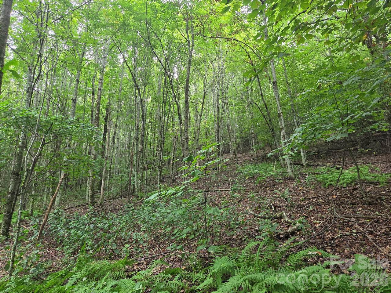 https://bt-photos.global.ssl.fastly.net/cmls/1280_boomver_1_4414807-1.jpg