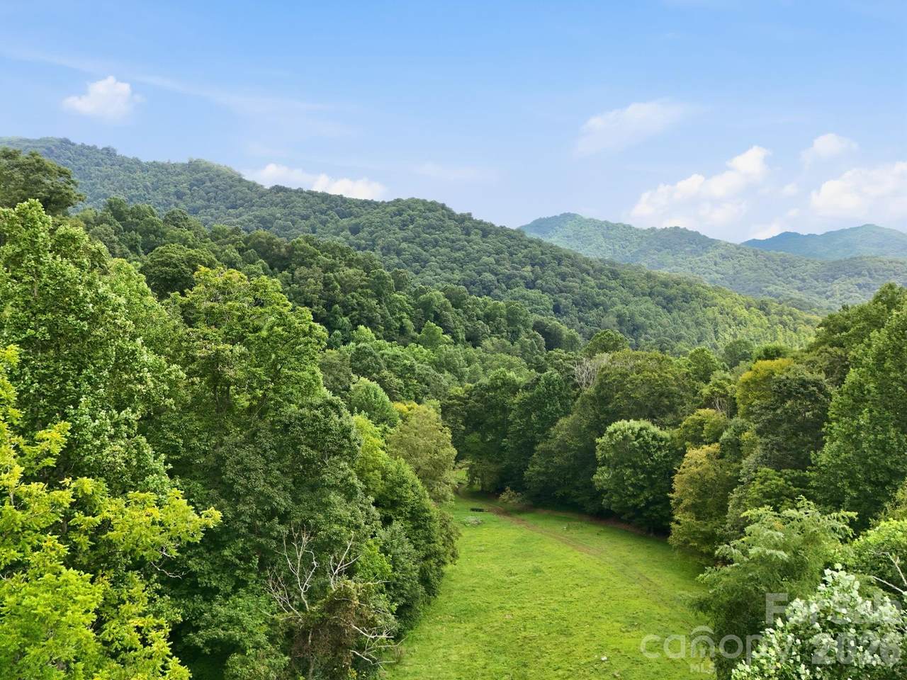 TBD Twin Oaks Road - Photo 1