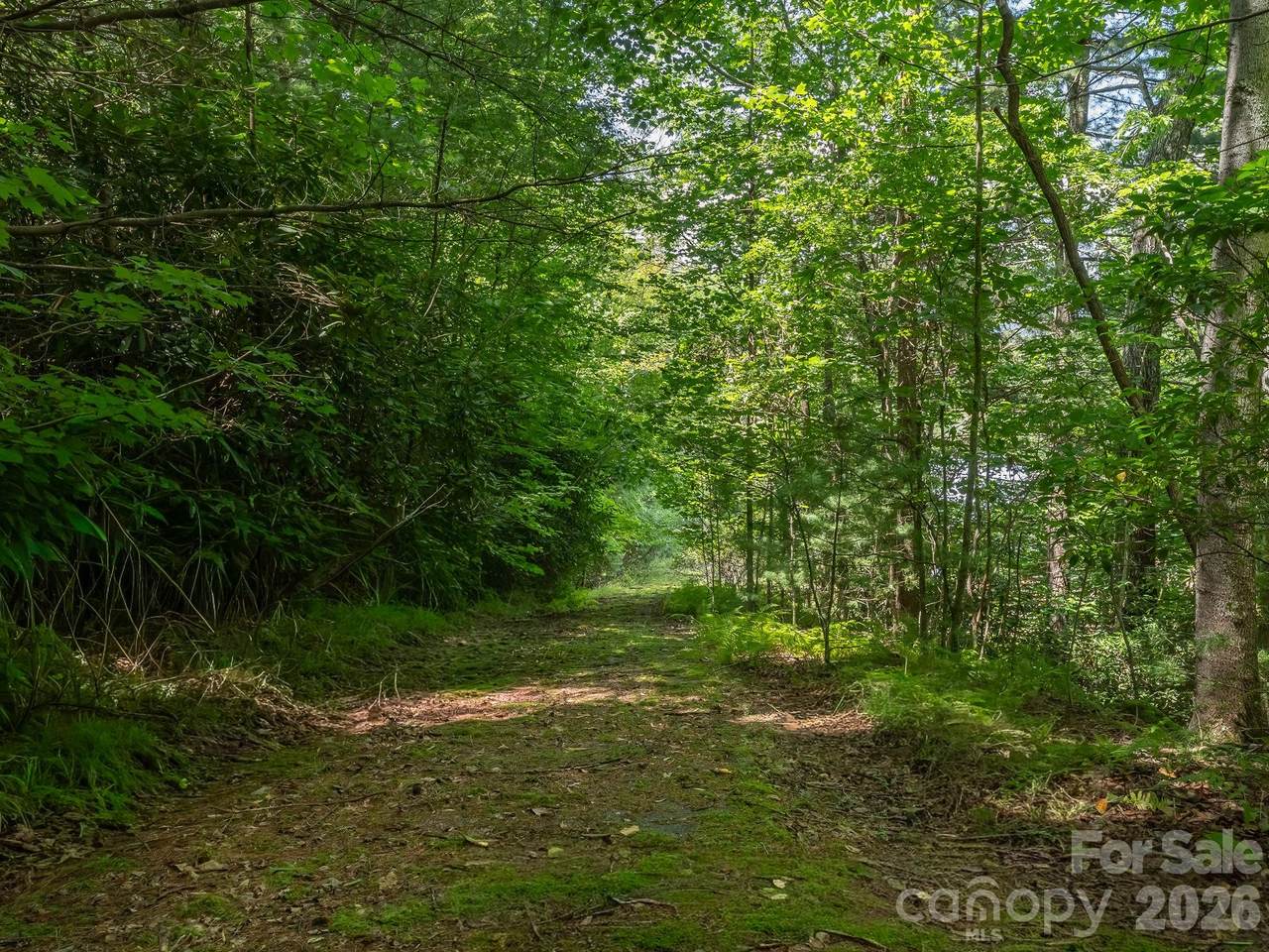 https://bt-photos.global.ssl.fastly.net/cmls/1280_boomver_1_4415391-1.jpg