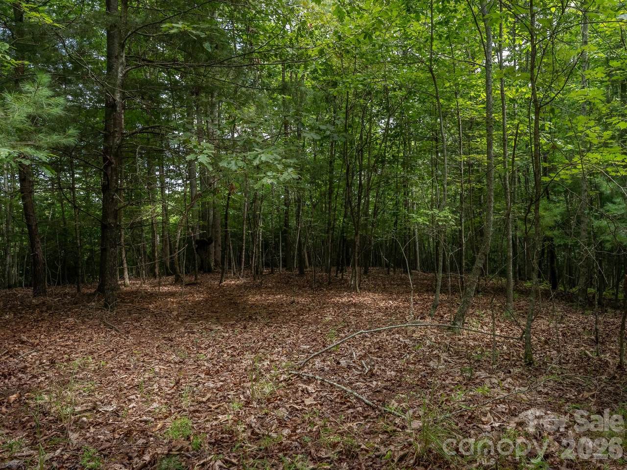 https://bt-photos.global.ssl.fastly.net/cmls/1280_boomver_1_4415391-1.jpg