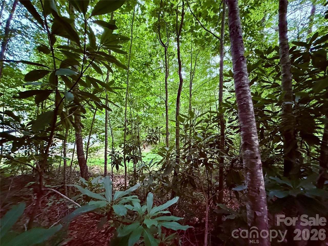 https://bt-photos.global.ssl.fastly.net/cmls/1280_boomver_1_4415618-1.jpg