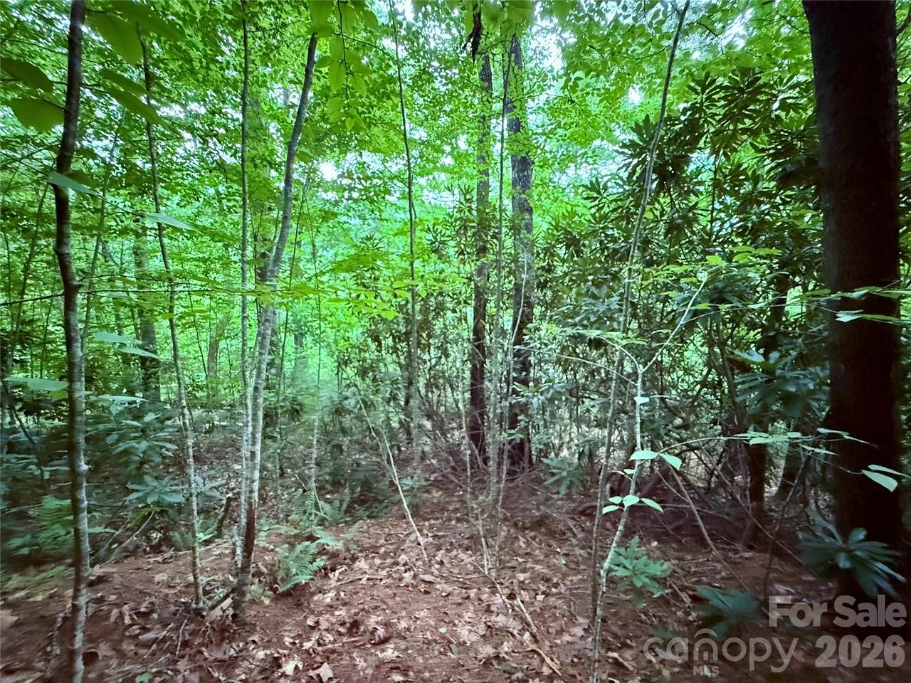https://bt-photos.global.ssl.fastly.net/cmls/1280_boomver_1_4415618-1.jpg