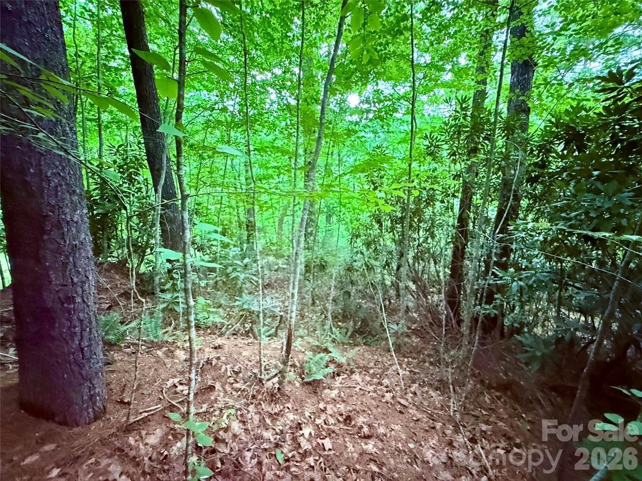 https://bt-photos.global.ssl.fastly.net/cmls/1280_boomver_1_4415618-1.jpg