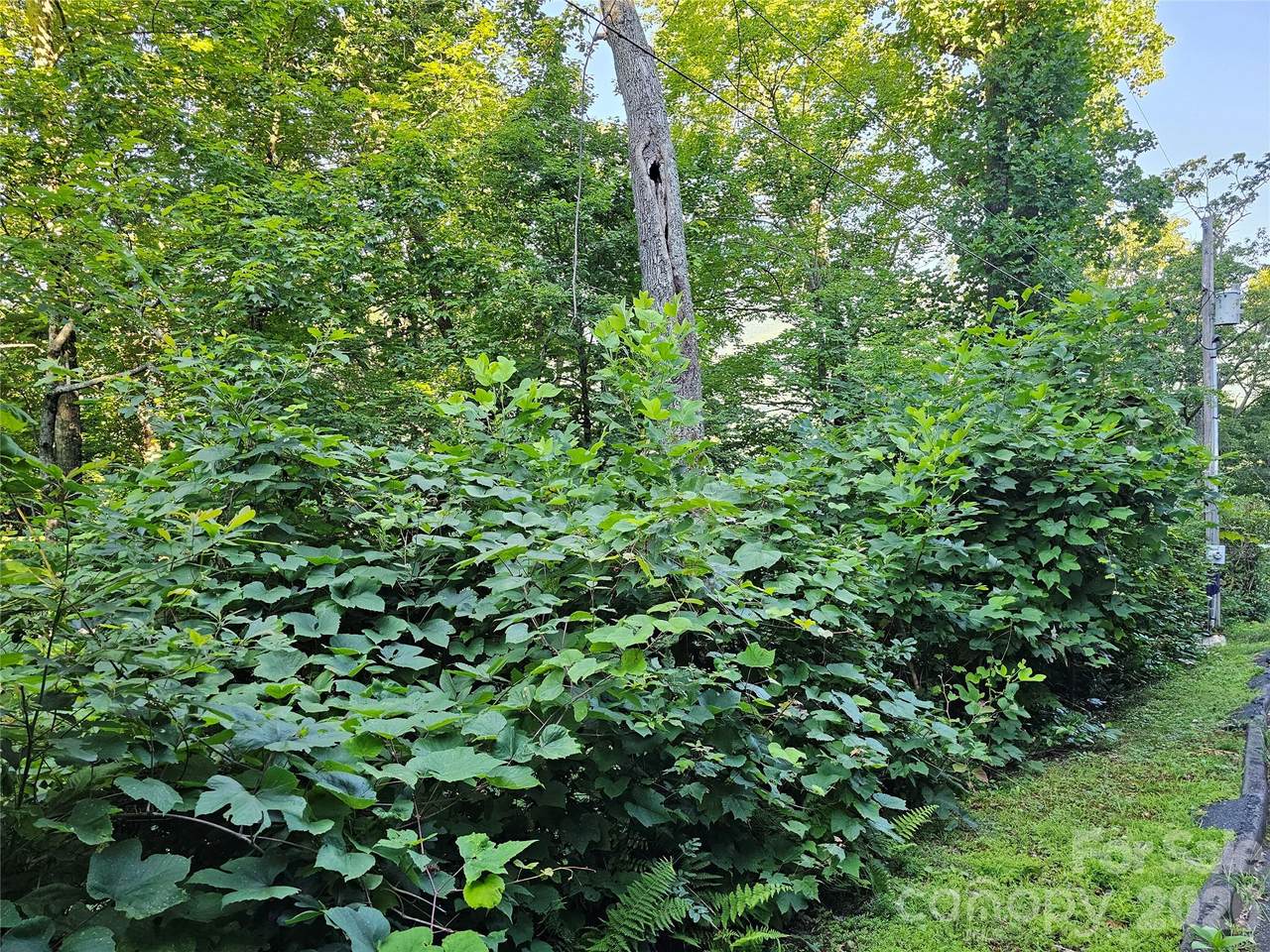 https://bt-photos.global.ssl.fastly.net/cmls/1280_boomver_1_4415697-1.jpg