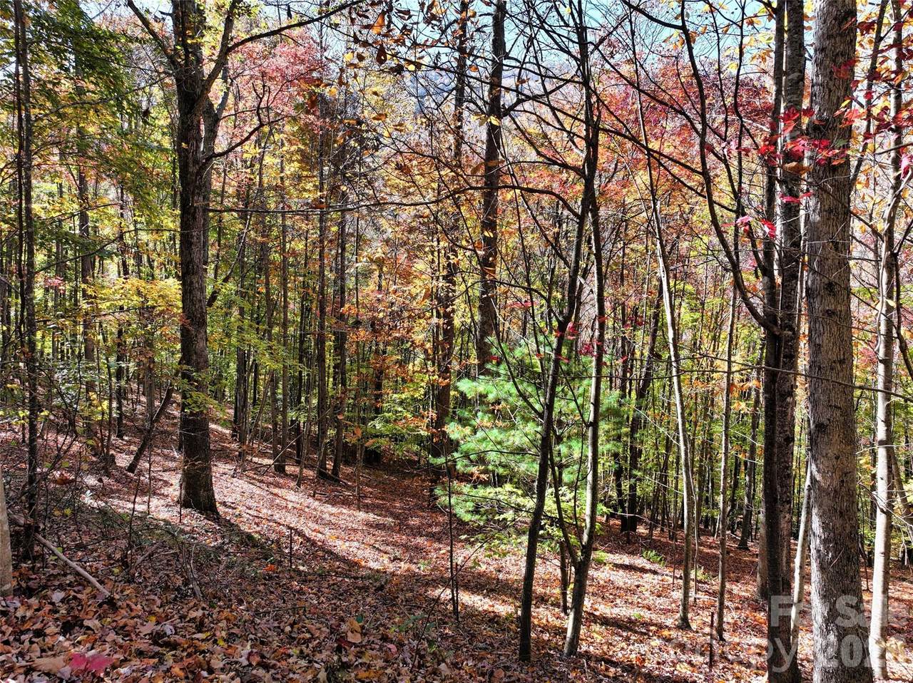 https://bt-photos.global.ssl.fastly.net/cmls/1280_boomver_1_4415706-1.jpg