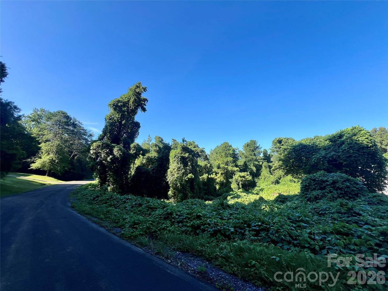 280 Jonas Sims Road - Photo 1