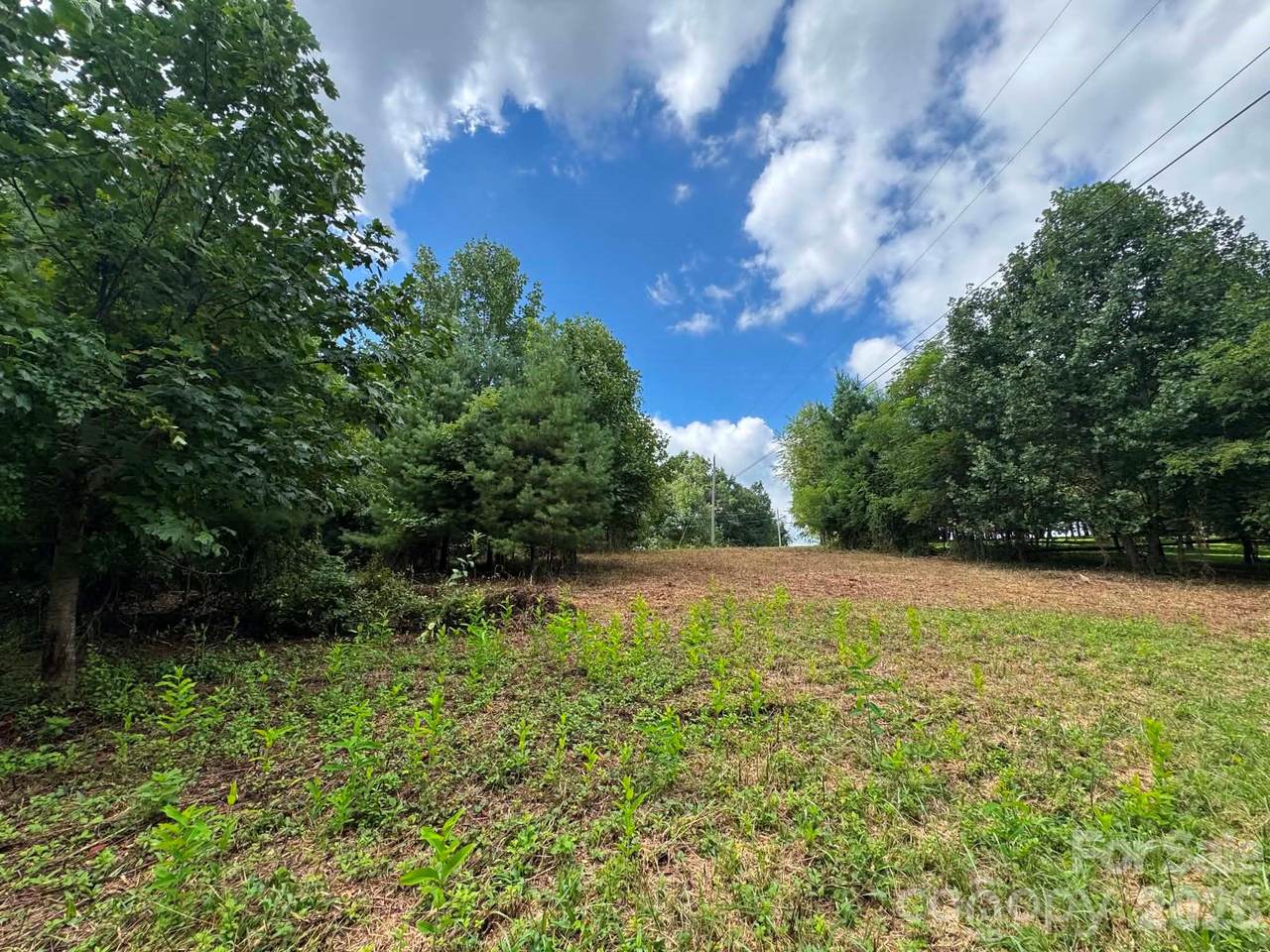 TBD Wind Ridge Road - Photo 1