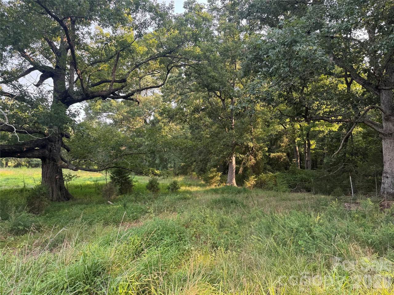 12917 Austin Road - Photo 1