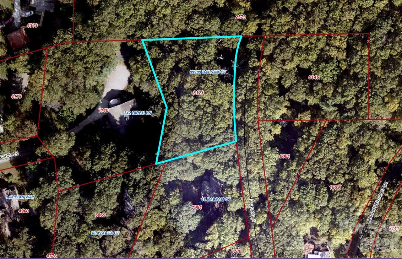 99999 Balsam Court - Photo 1