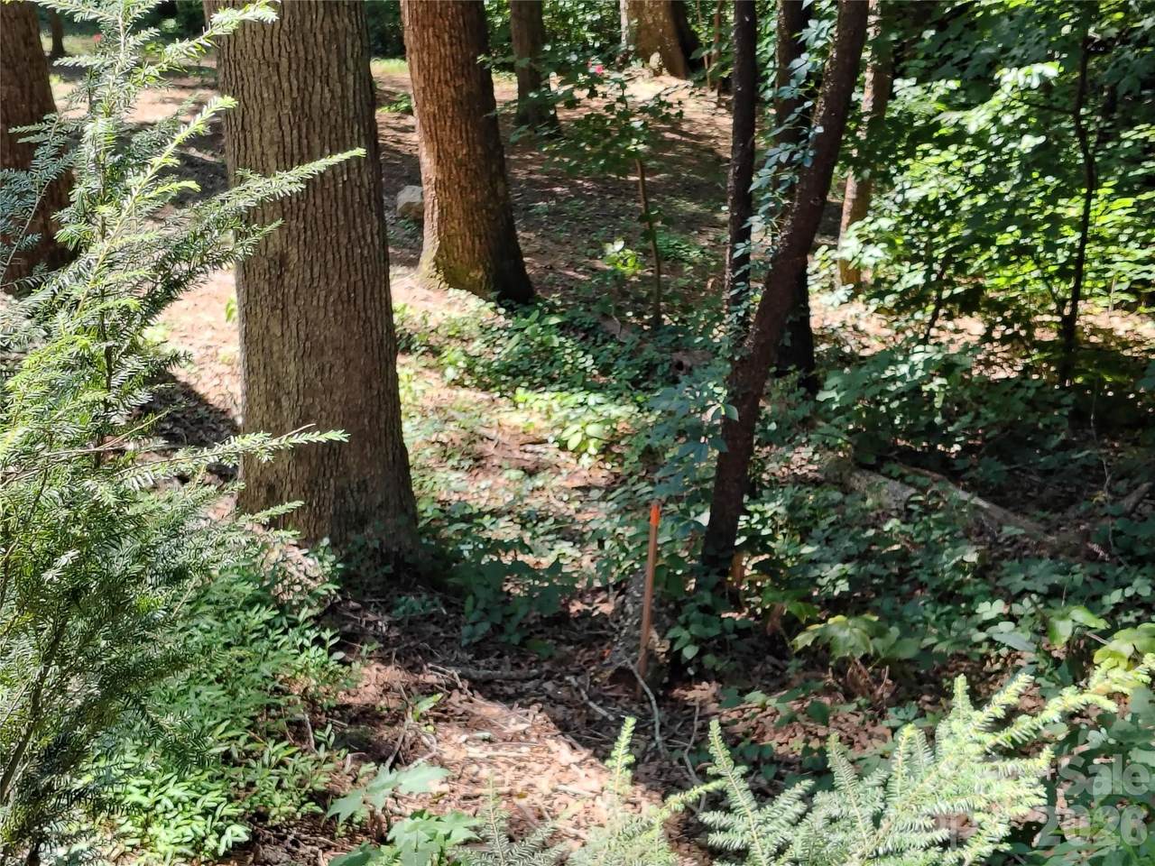 https://bt-photos.global.ssl.fastly.net/cmls/1280_boomver_1_4416505-1.jpg