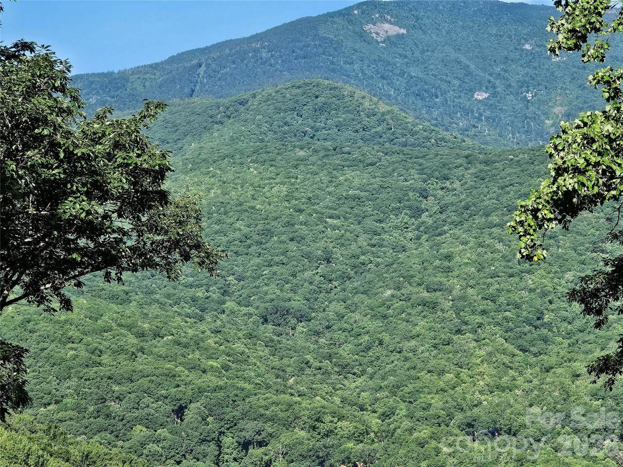 109 Big Ridge Road - Photo 1