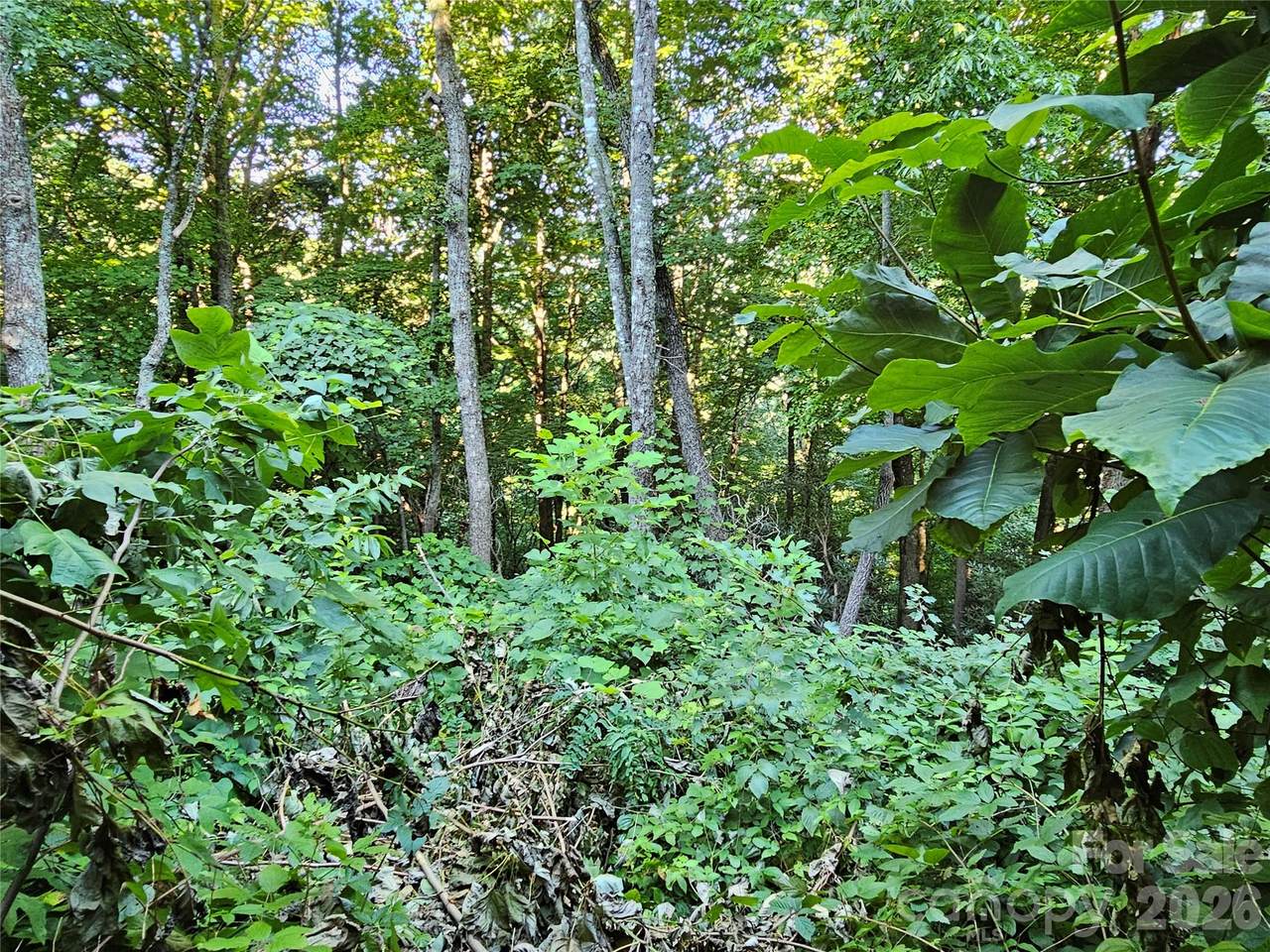 https://bt-photos.global.ssl.fastly.net/cmls/1280_boomver_1_4416741-1.jpg