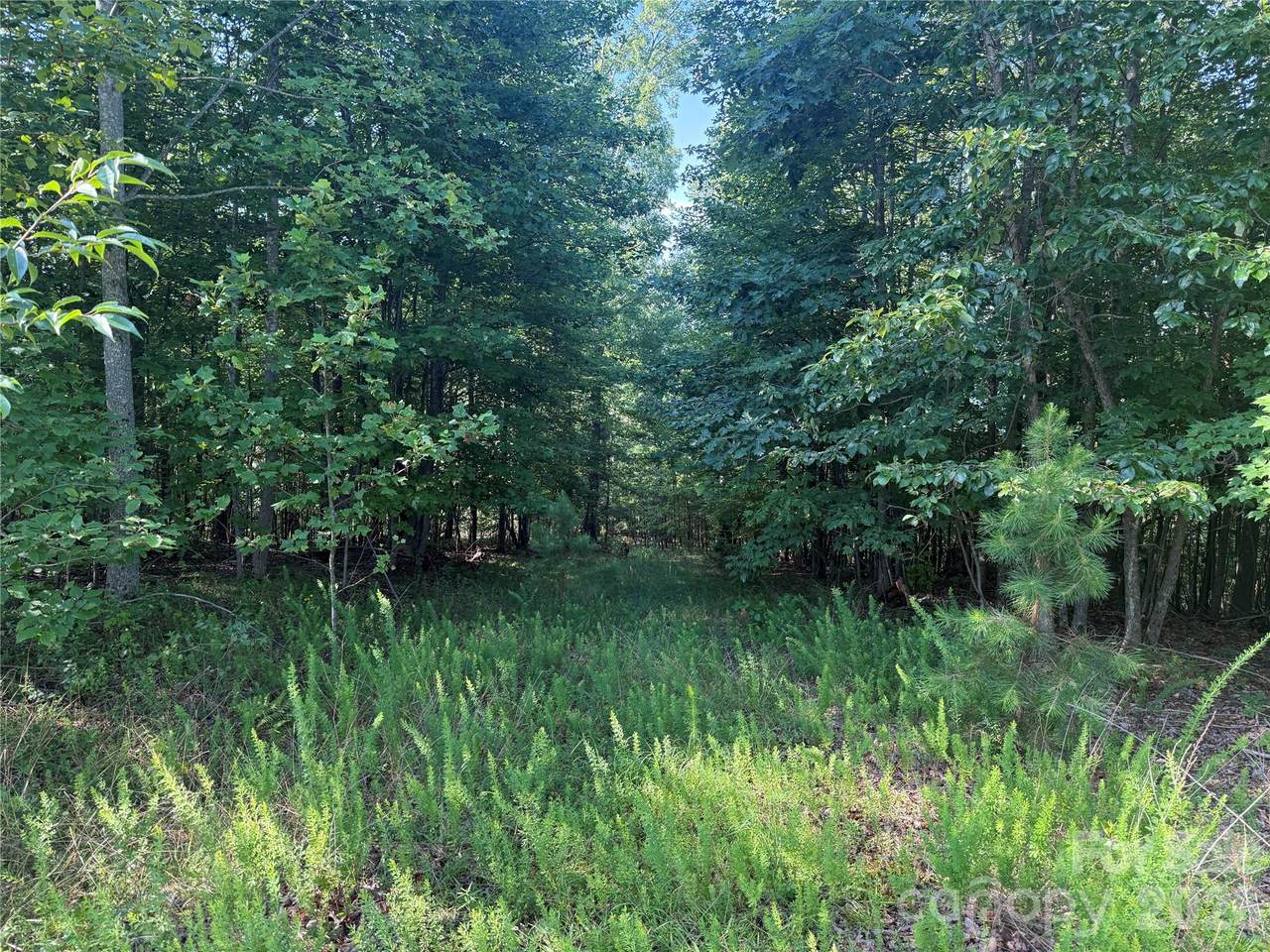 https://bt-photos.global.ssl.fastly.net/cmls/1280_boomver_1_4416857-1.jpg