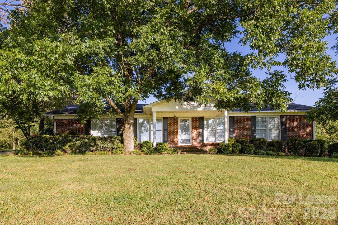 34838 Ellen Road - Photo 1
