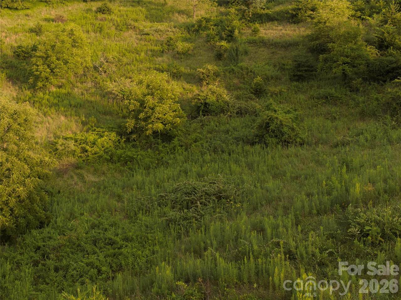 https://bt-photos.global.ssl.fastly.net/cmls/1280_boomver_1_4417099-1.jpg