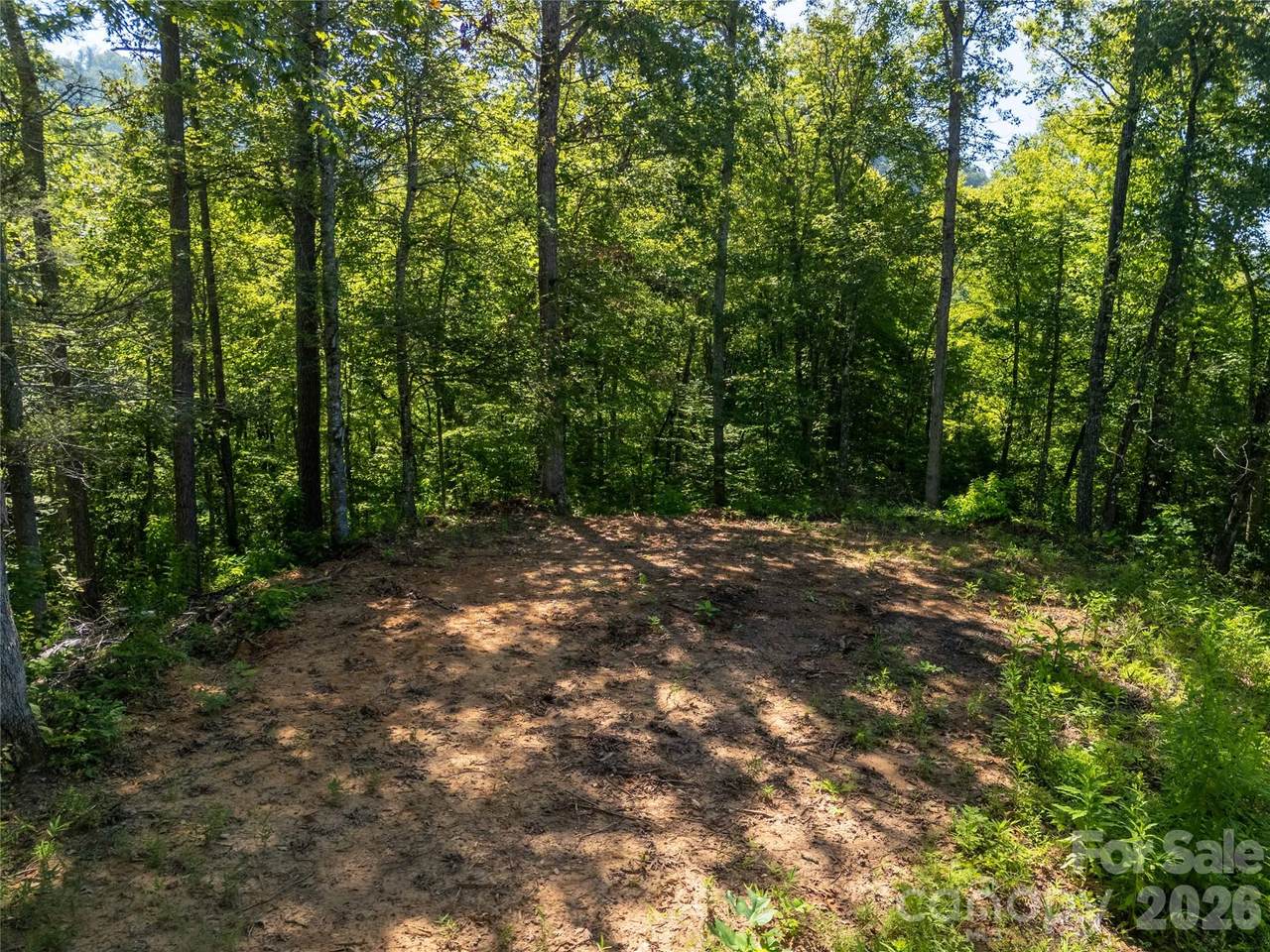 Lot C Claude Cook Road - Photo 1