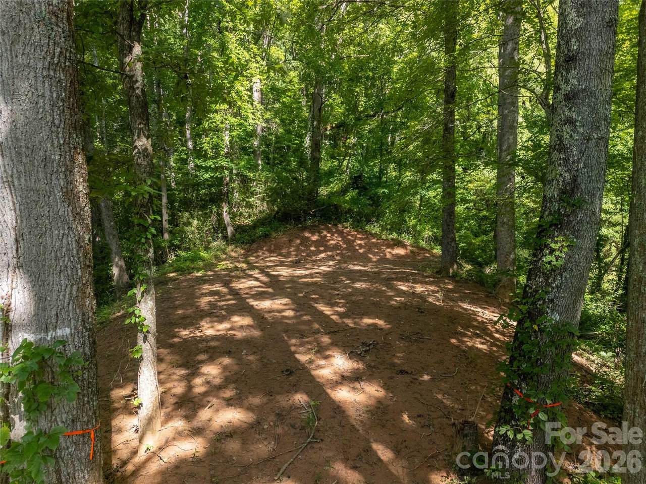 Lot D Claude Cook Road - Photo 1