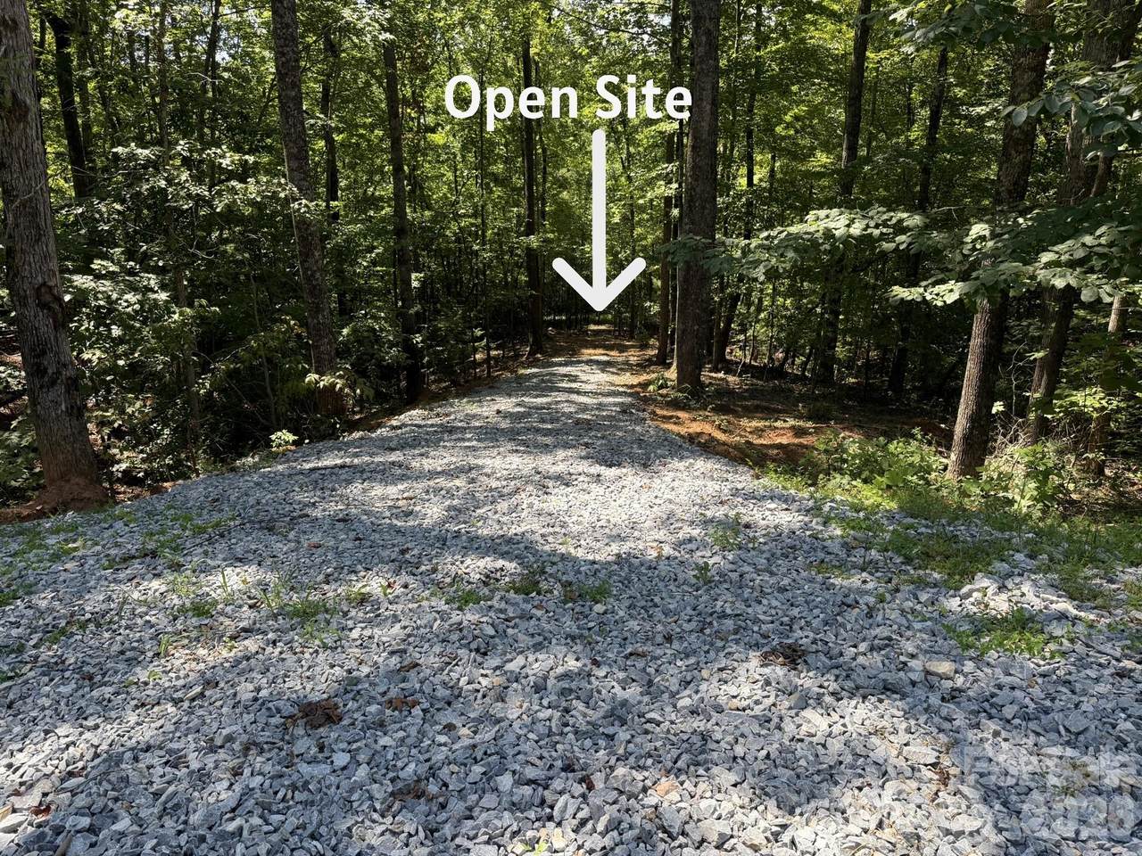 V/L Forest Country Drive - Photo 1