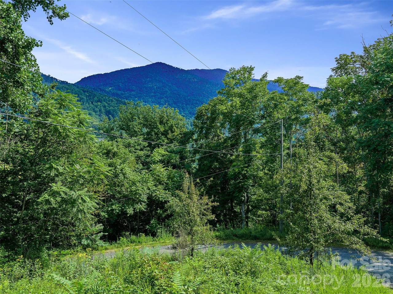 Lot #63-65 Bear Ridge Road - Photo 1