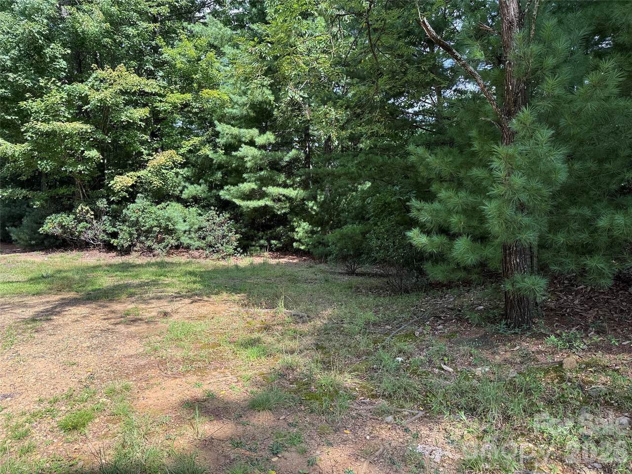TBD Rich Pine Drive - Photo 1