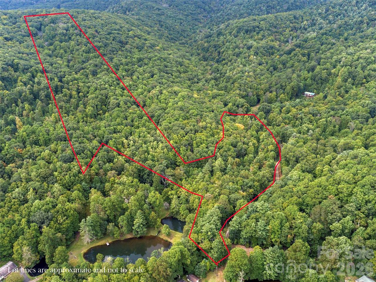 TBD Pond Road - Photo 1