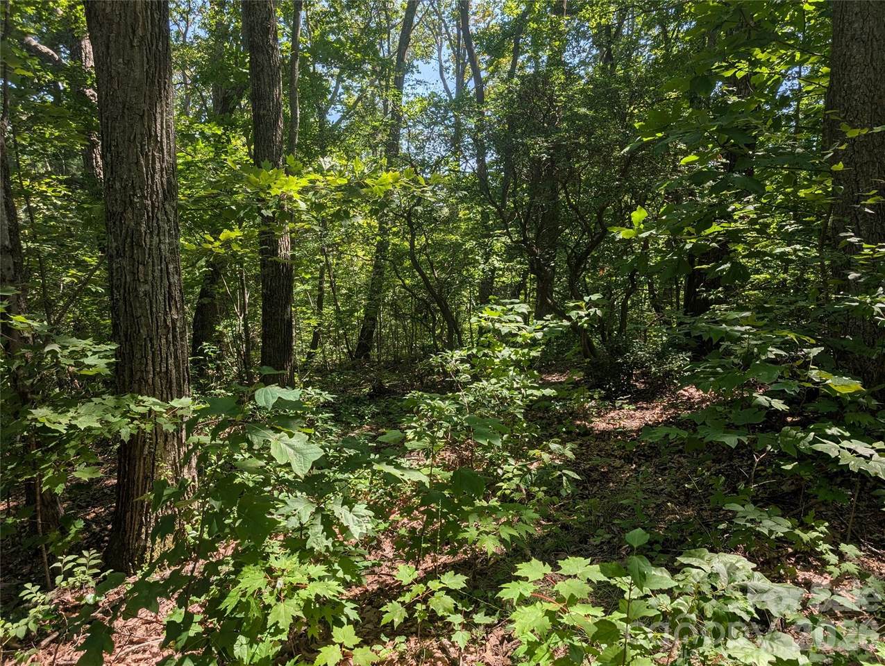 1824 Old Mill Road - Photo 1