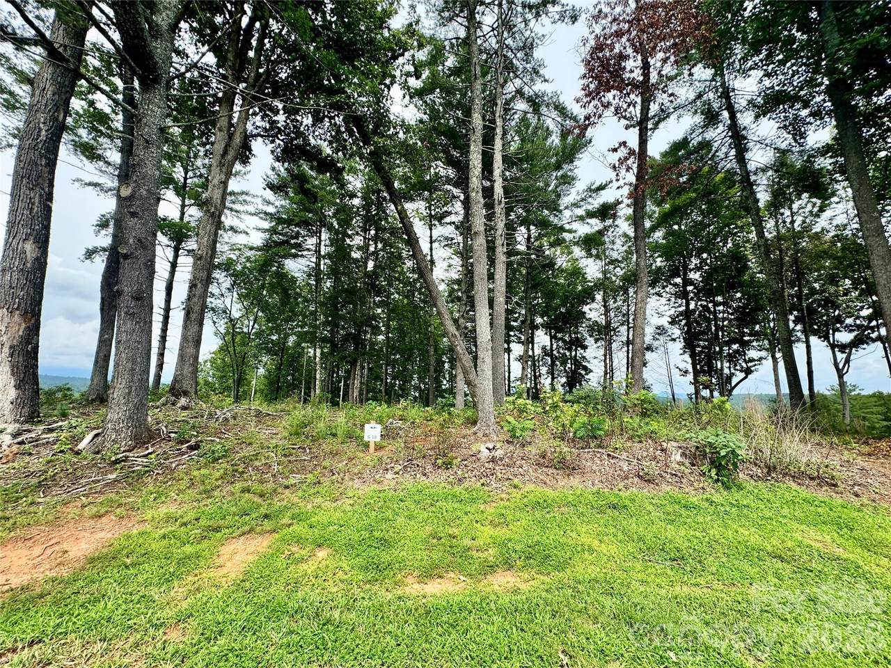 2070 Thoroughbred Way - Photo 1