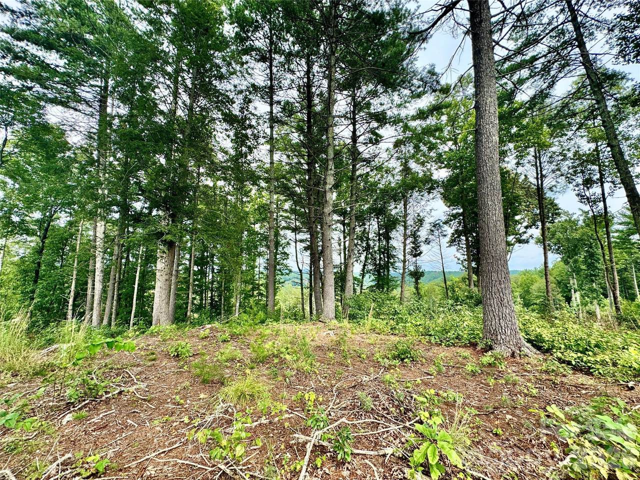 https://bt-photos.global.ssl.fastly.net/cmls/1280_boomver_1_4418641-1.jpg