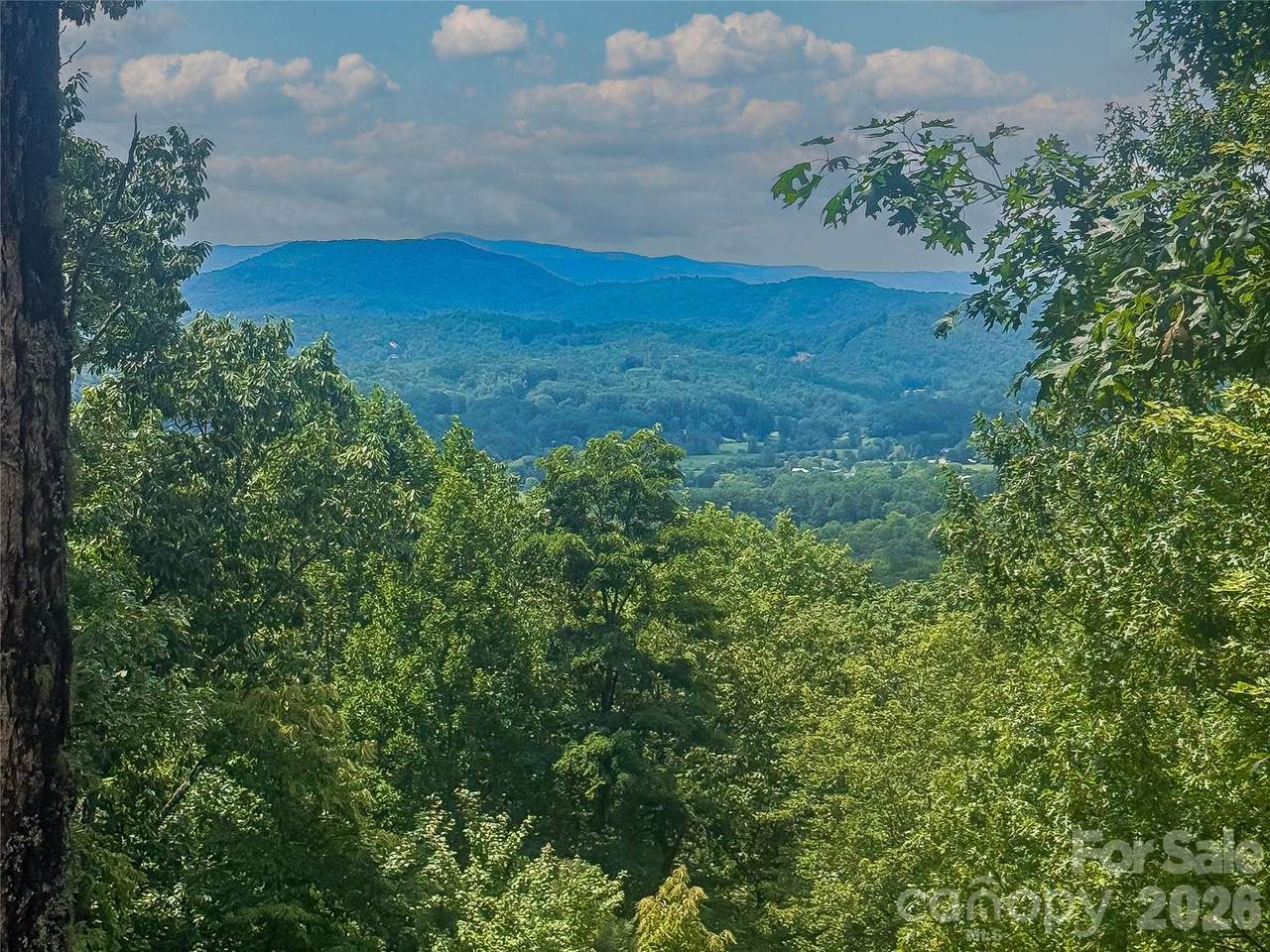 204 Forge Crest Drive - Photo 1