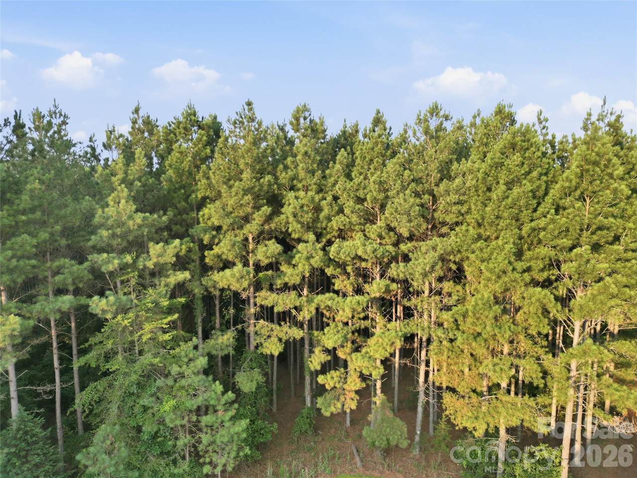 https://bt-photos.global.ssl.fastly.net/cmls/1280_boomver_1_4418901-1.jpg