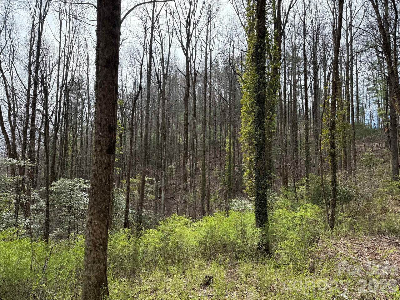 L8 Black Bear Court - Photo 1