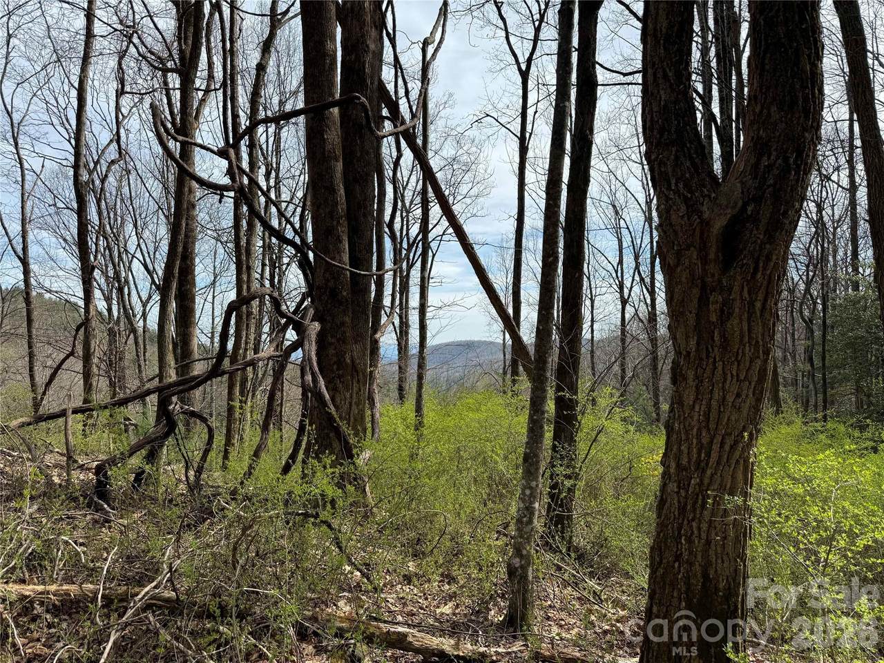 https://bt-photos.global.ssl.fastly.net/cmls/1280_boomver_1_4419589-1.jpg