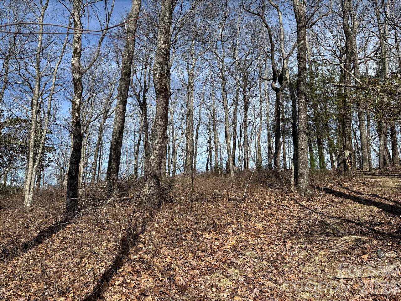 L4 Windy Gap Lane - Photo 1