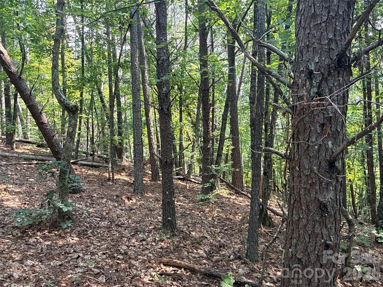 242 Golden Creek Ridge - Photo 1