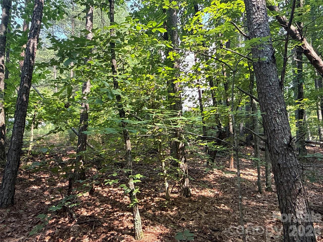 https://bt-photos.global.ssl.fastly.net/cmls/1280_boomver_1_4420193-1.jpg