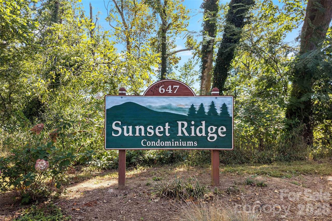 647 Town Mountain Road - Photo 1