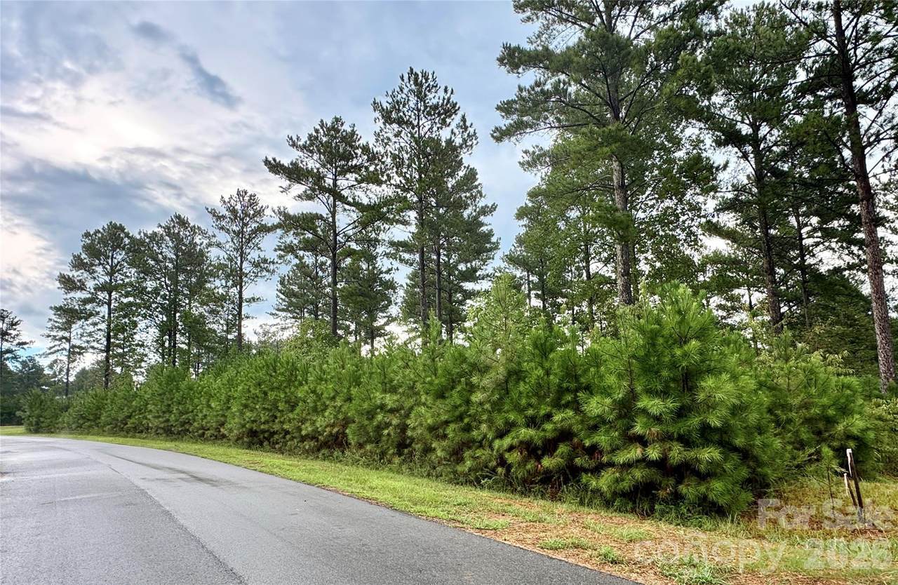 Lot 1, 2.44 acres Paddock Way - Photo 1