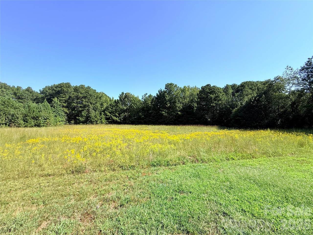 1835 Josie Road - Photo 1