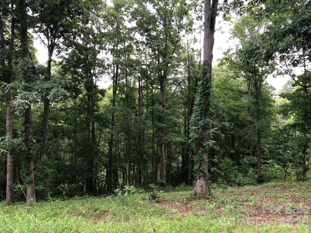 45 Sweet Fern Parkway - Photo 1
