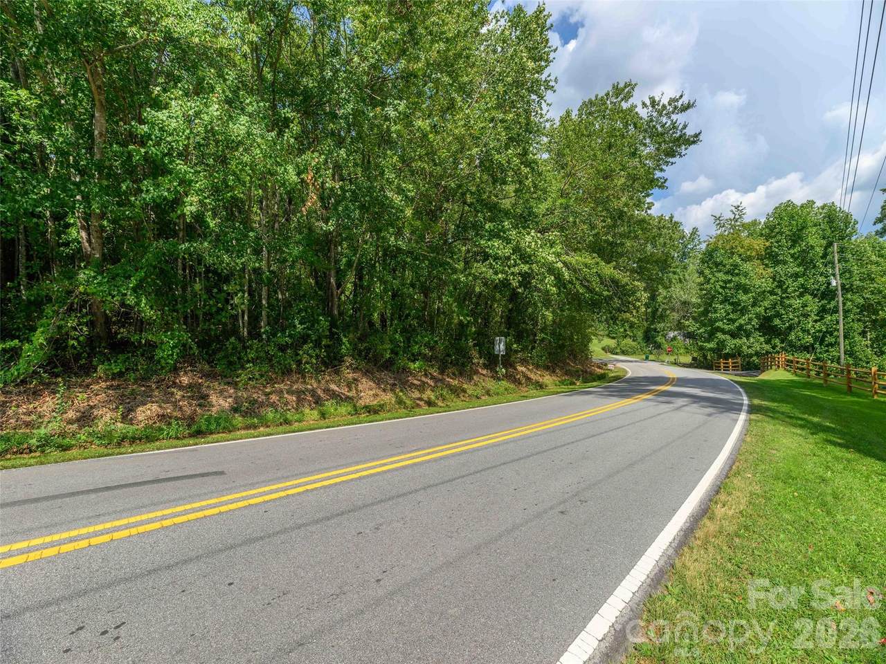 0 Hoopers Creek Road - Photo 1