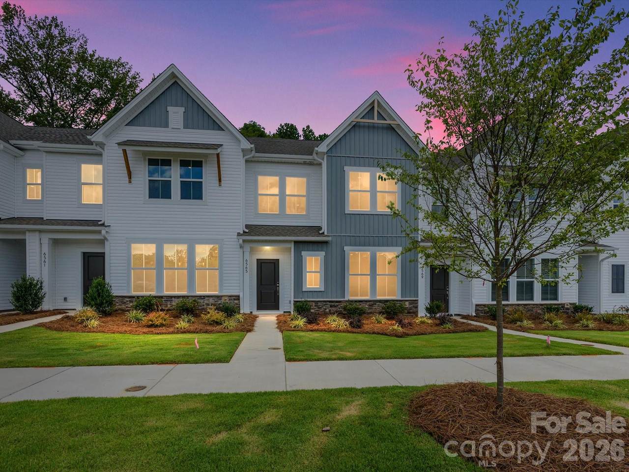 6565 Fire Lily Lane - Photo 1